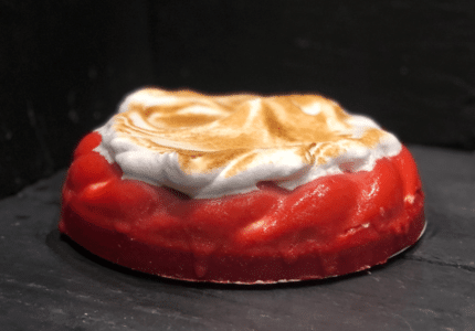 Berthillon vacherin fruits rouges